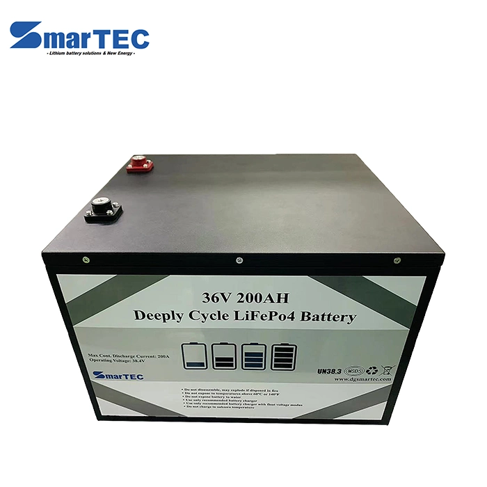 Hot-Sale Large Capacity Lithium-Ion Battery 48V 200ah LiFePO4 Battery Pack for Golf Cart/Motorhome/Golf Trolley