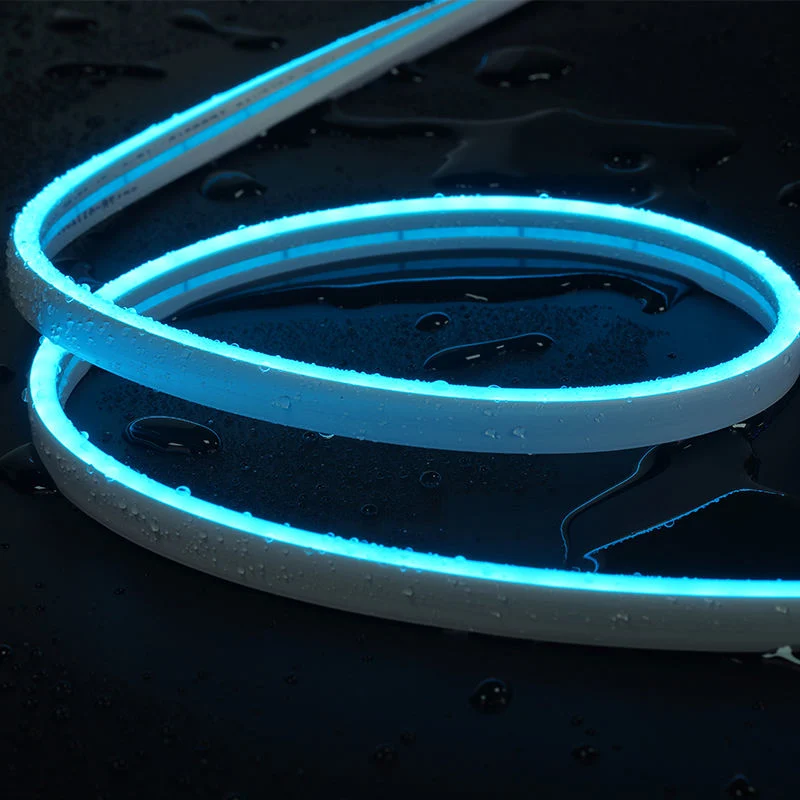 RGB Addressable LED Strip Waterproof Neon Luces LED Smart LED Strip/TV Backlight Rope LED Strip Light for Neon Sign