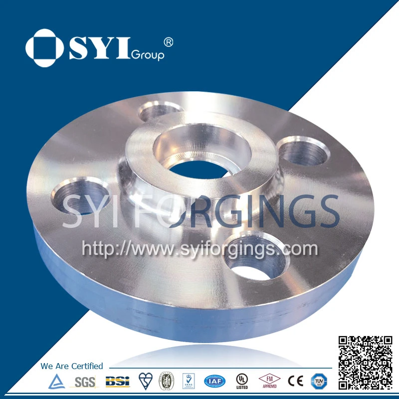 ANSI DIN En BS JIS ISO Supply Socket Welding Forged Flange