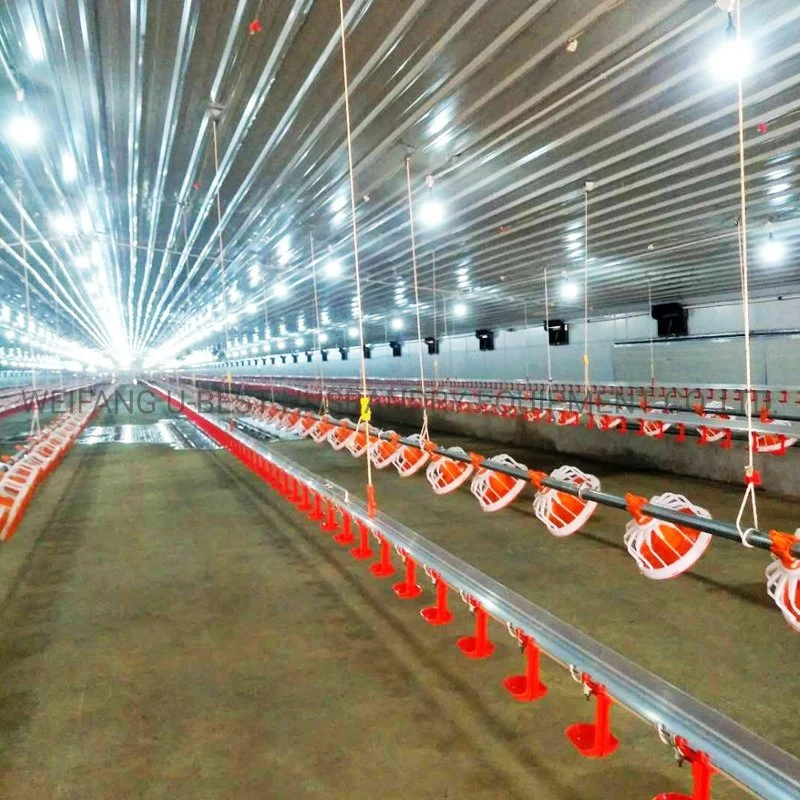 High quality/High cost performance  Poultry Shed Livestock Machinery for Broiler