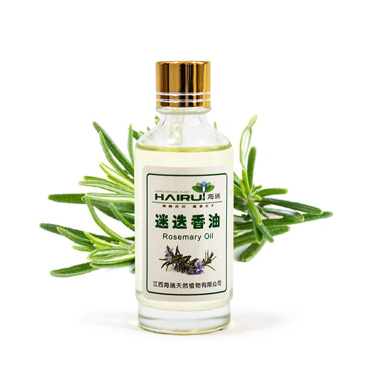 100% Pure Natural Rosemary Essential Oil for Cosmetics Industry at Favourable Price