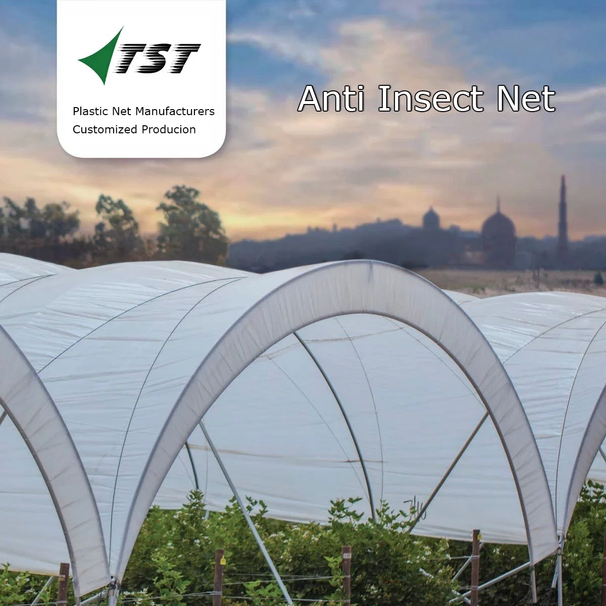 الزراعة Orchard Fram Anti Insect Net لغطاء الاحتباس الحراري