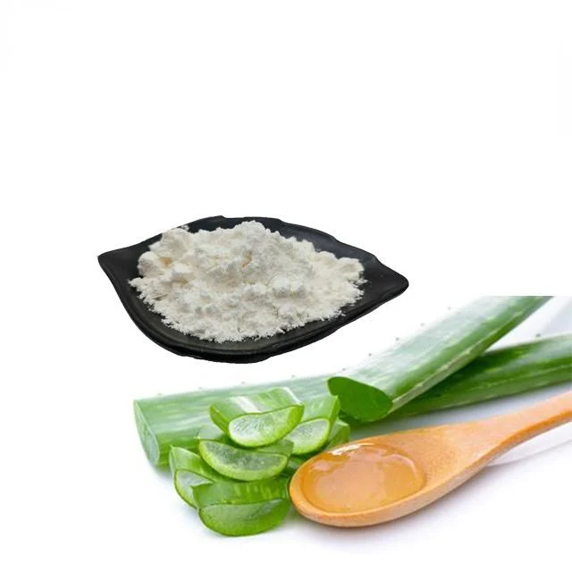 Aloe Vera Extract /200: 1 Aloe Vera Gel Freeze Dried Powder