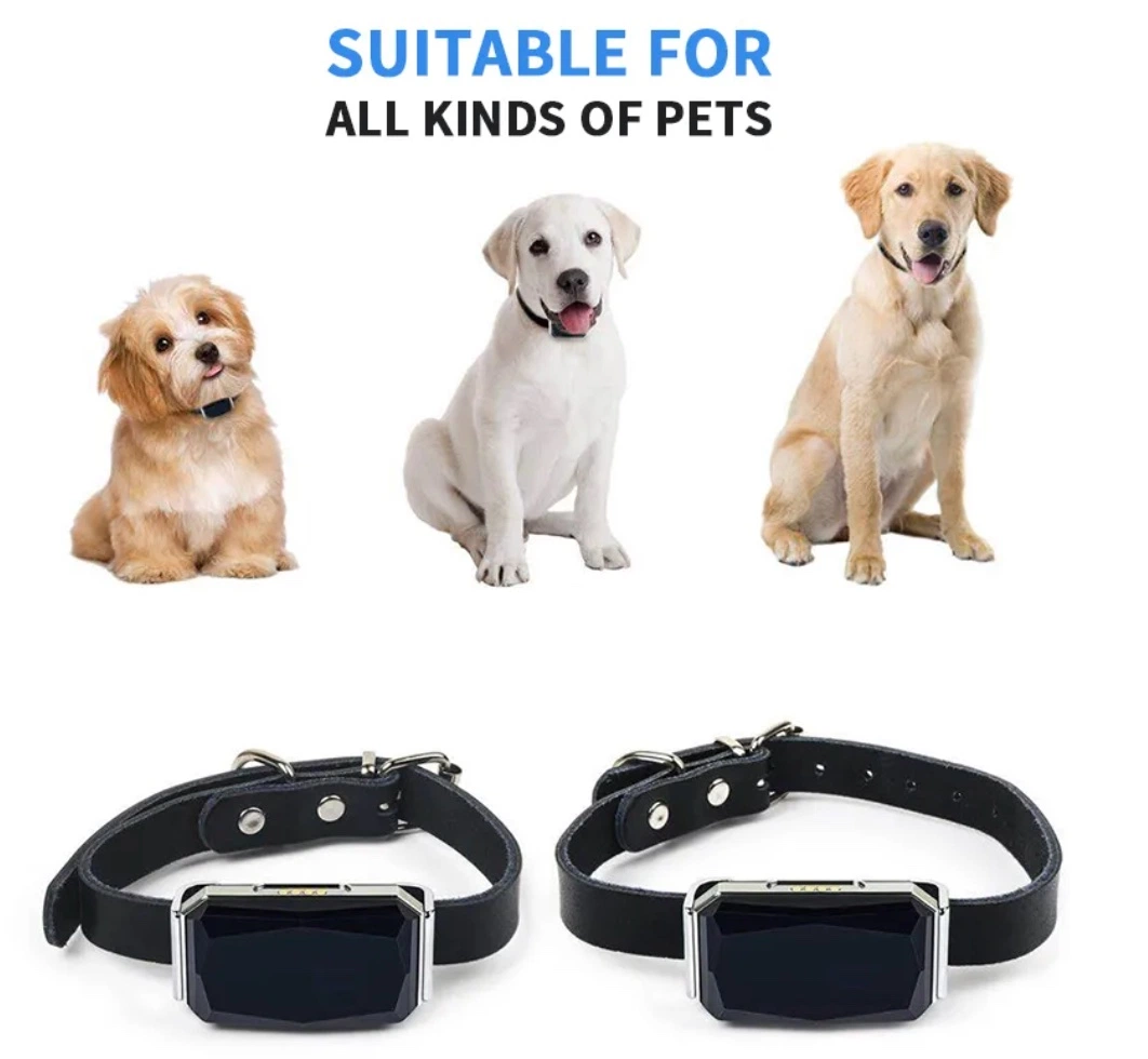 PET Supplies Bluetooth Pet Tracker GPS AGPS LBS Bds WiFi Lage Intelligent