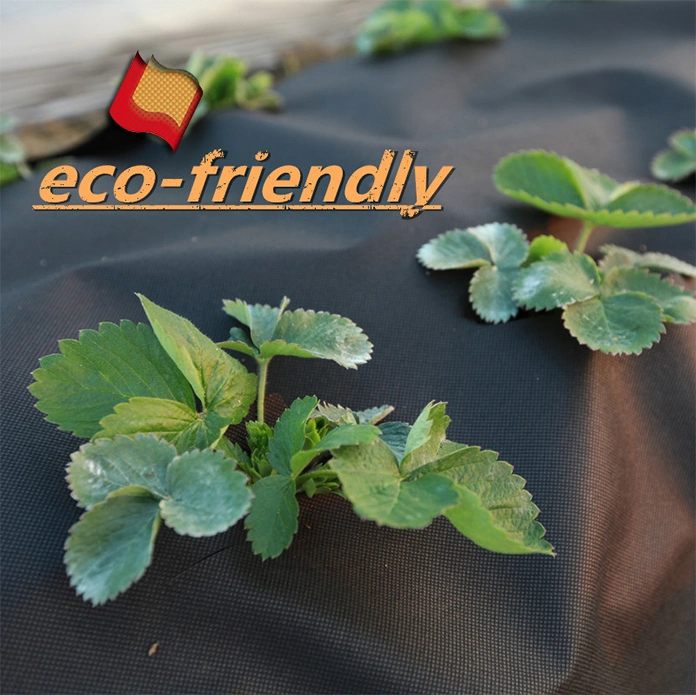 Anti-UV Nonwoven Fabric Non-Woven Alfombra de hierba cubierta de la agricultura