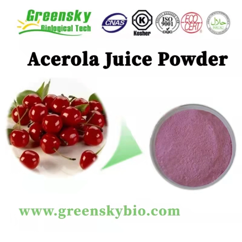 Acerola Juice Powder Vitamin C Antioxidant Anti-Aging Cosmetology Natural Fruit Treatment of Iron Deficiency Anemia Prevention and Treatment of Scurvy