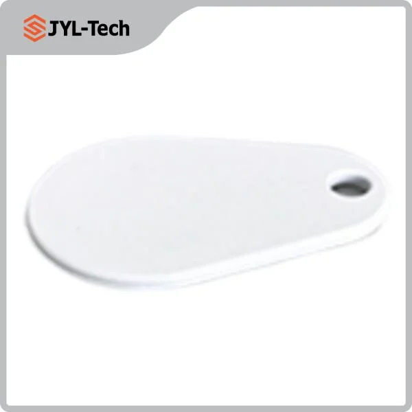 Factory Price ISO14443A Icode Slix Chip Nylon RFID Keyfob