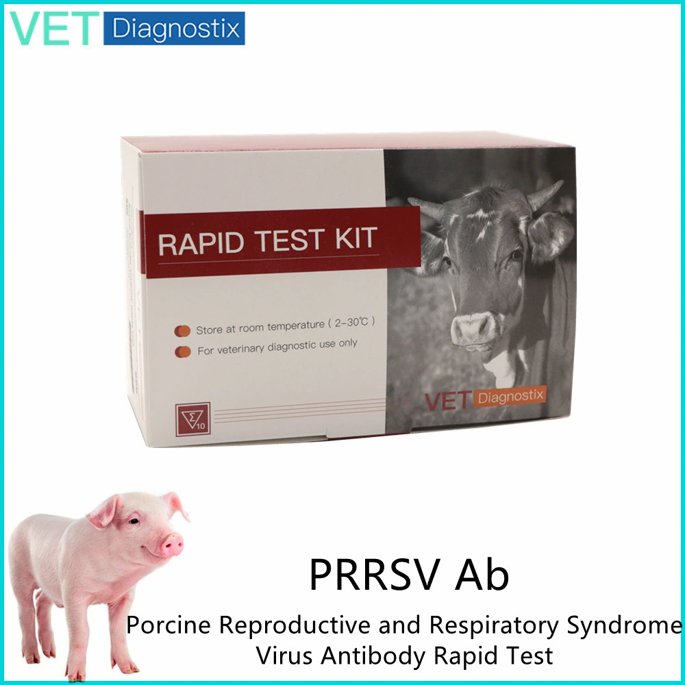 Porcine Reproductive and Respiratory Syndrome Virus Antibody Prrsv Ab Veterinary Test Kit