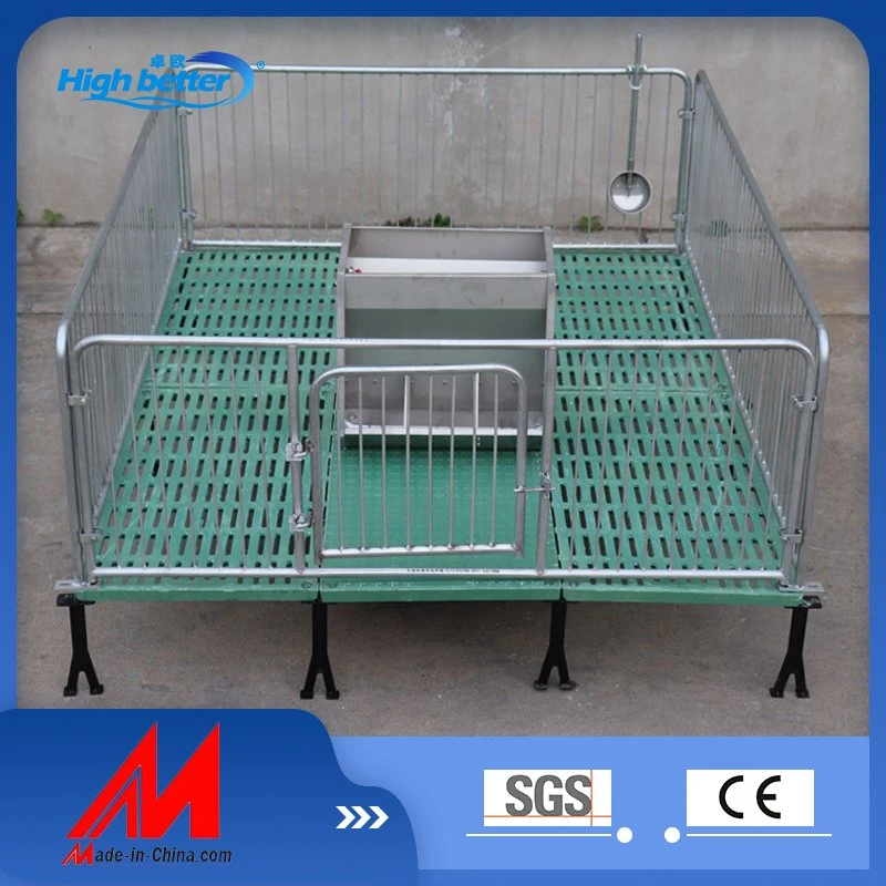 Hochwertiger Hot DIP Crate Cage für die Beet Farrowing Kiste