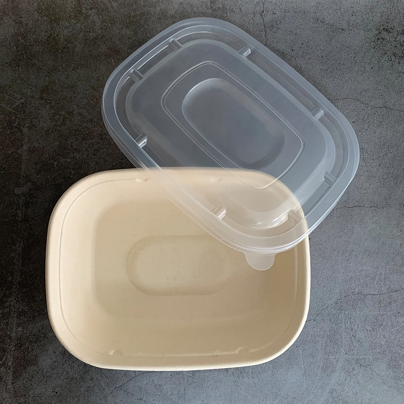 Professional Supplier Wholesale/Supplier Disposable Biodegradable Pulp Fiber Sugarcane Tableware