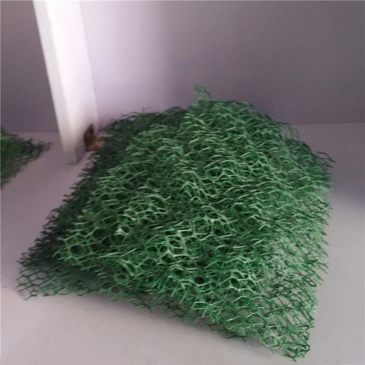 Hot Sale HDPE 3D Geomat Erosion Control Mat with Competitive Price