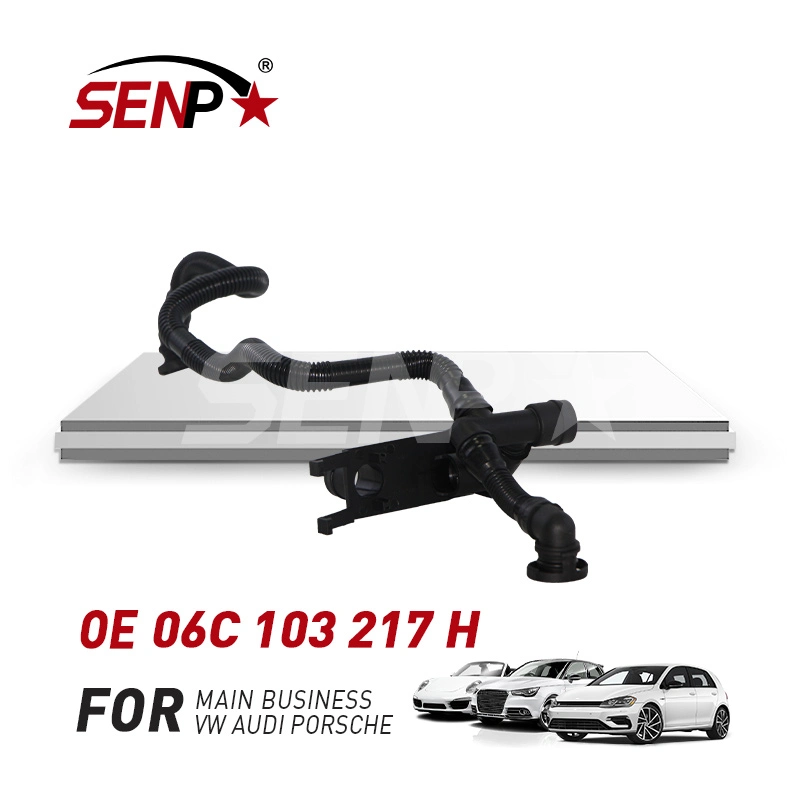 Senp قطع غيار سيارات عالية الجودة لسيارات Audi A4 A6 A8 نظام المحرك OEM 06c 103 217 H أنبوب العادم 06c103217h