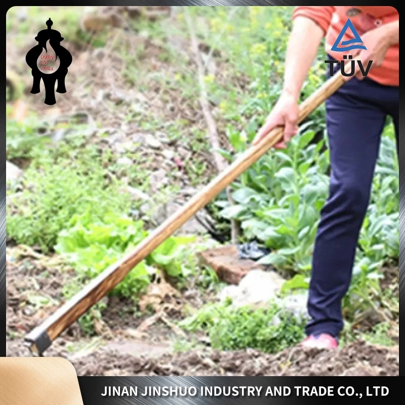 Trois Dents de haute qualité manche en bois d'enfants d'outils de jardin court petit râteau