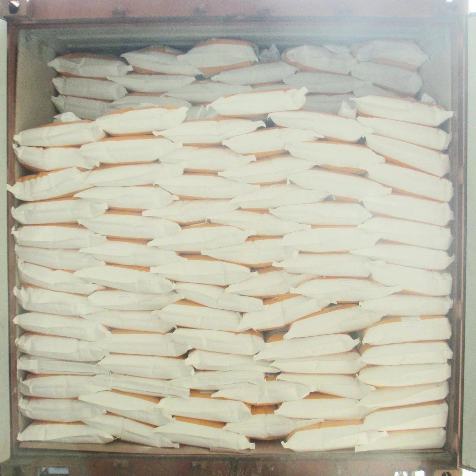 Vital Wheat Gluten/Wheat Gluten Powder 25kg/Bag in Bulk