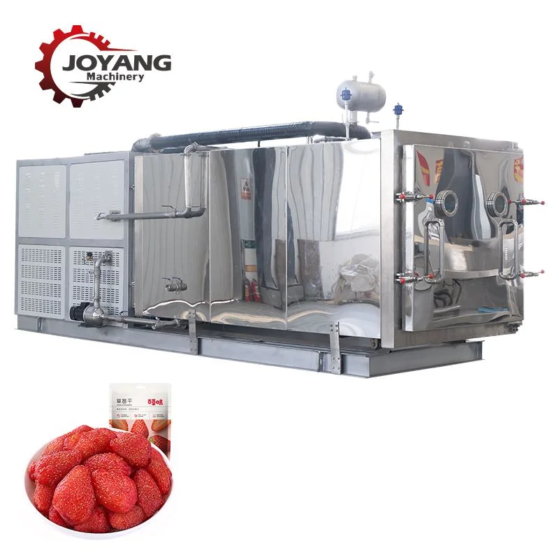 Industrial 30 Square Meter Vacuum Freeze Dryer for Drying Fruit Vegetable Meat