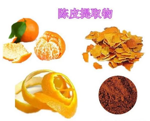 Top Sale High Quality Natural Tangerine Peel Extract