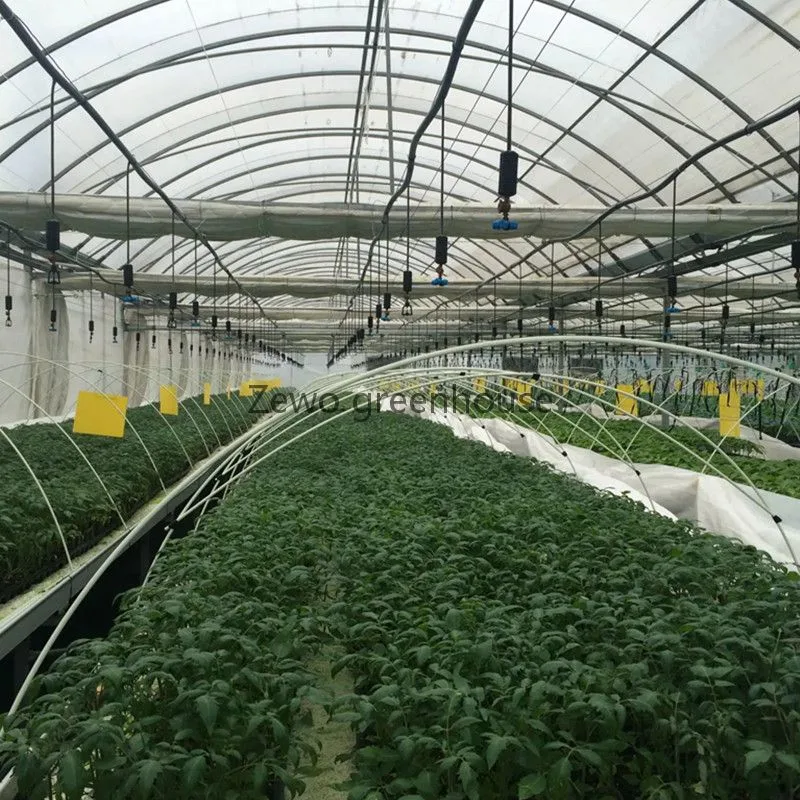 Planta de invernadero comercial cultivo sin Soilless sistema hidropónico Fabricante Ventas directas