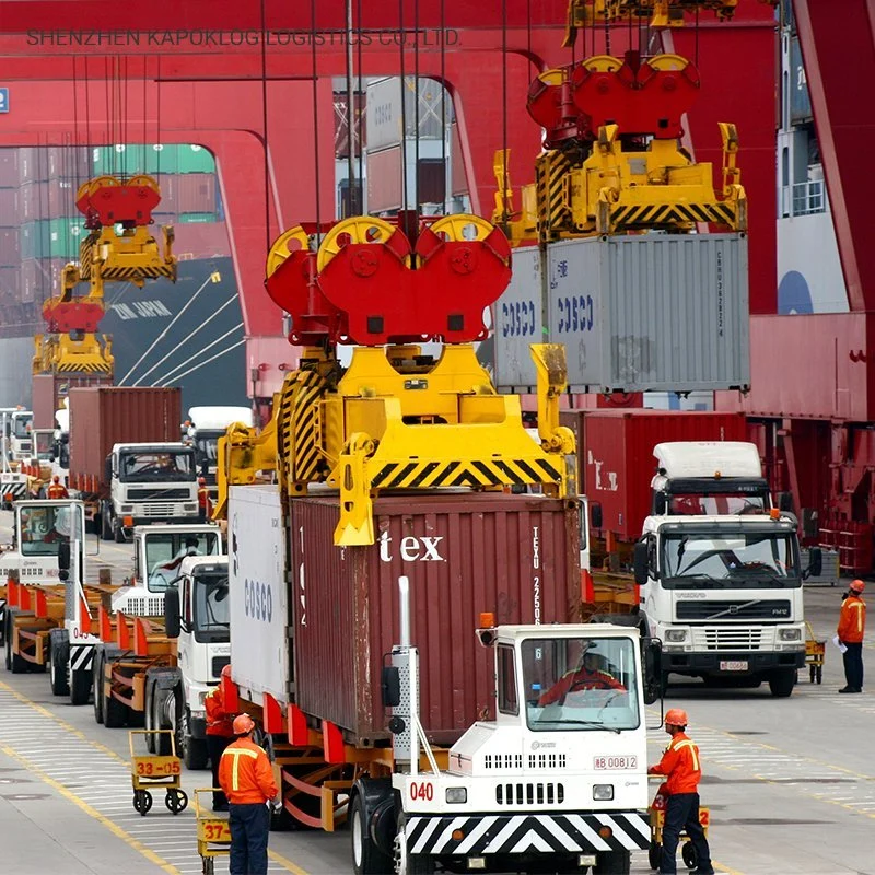 Fast Shipping Agent DDP&DDU Sea Transportation From China to USA Cheap Rate by Kapoklog Freight