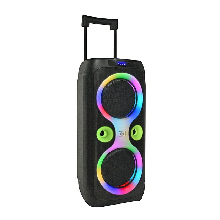 Dual 10 Inch Home Large Karaoke Portable Speakers 100W Bluetooth Video Party Trolley Speaker with Colorful Lights