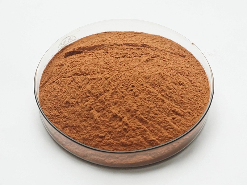 Wholesale/Supplier Freeze Dry Acai Berry Powder Acai Berry Extract