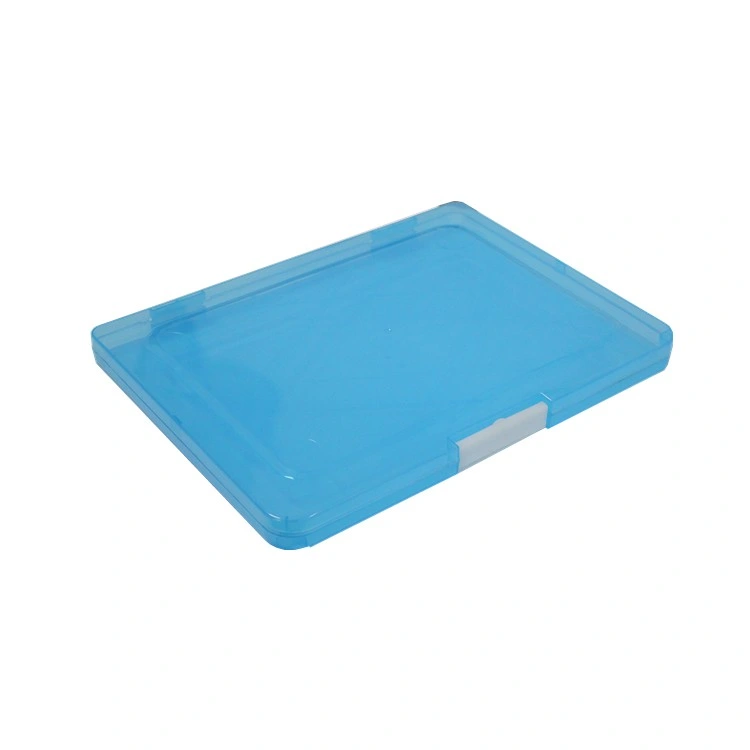 Wholesale/Supplier Promotional A4 Size Clear File Case/Document Case/File Box