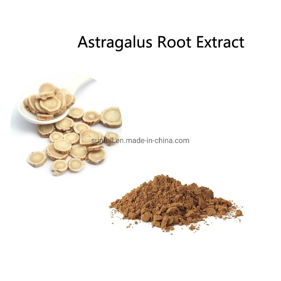 Factory Supply Astragalus Powder Astragalus Root Extract with Astrangaloside 0.5%