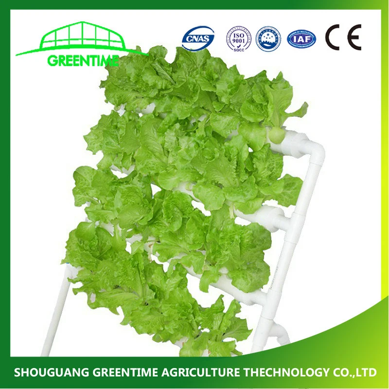 China Supplier Agriculture Vertical Hydroponics System Vertical Growing System Indoor for Vegetable/Flower/Fruit