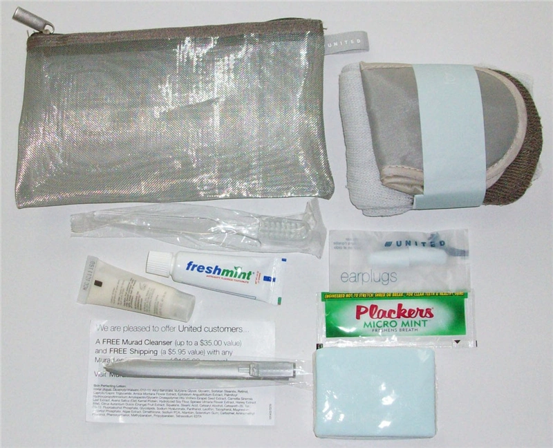 Disposable Dental Kit Easy Cosmetics Kit Travel Kits for Women