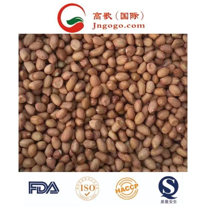 High quality/High cost performance /New Crop Peanut Kernals