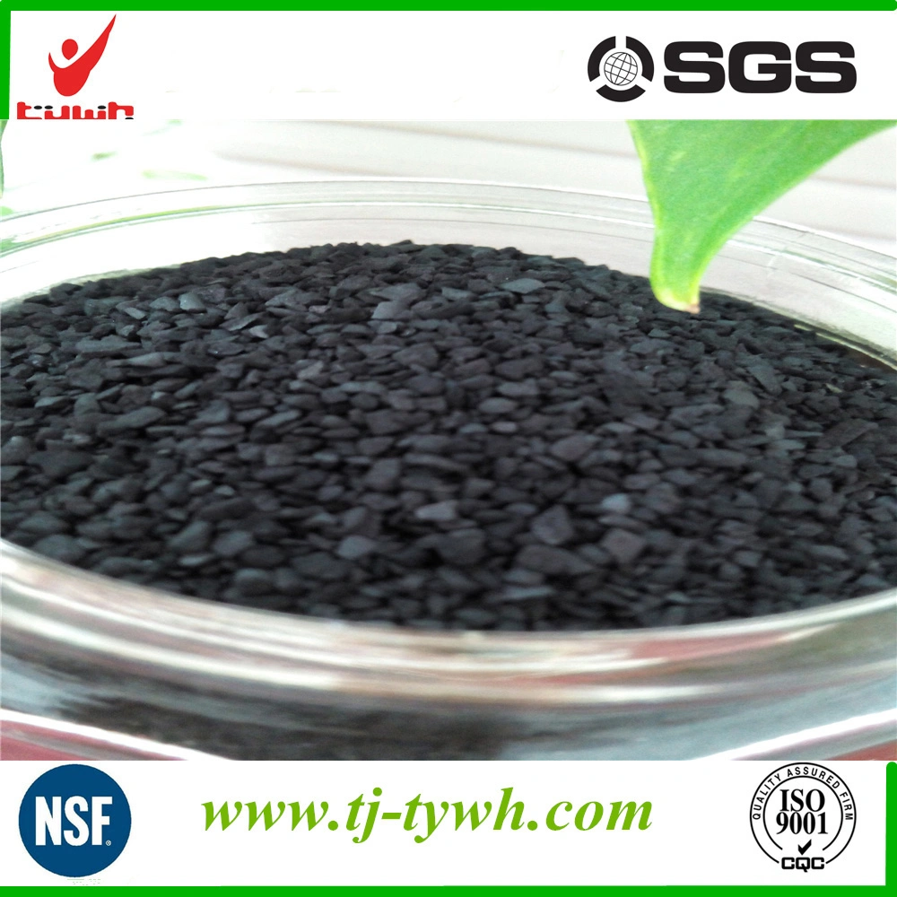 Activated Carbon for H2s Removal