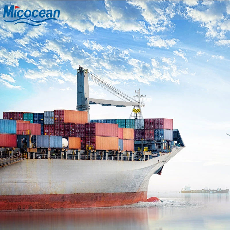 Professional Consolidation Sea Freight Transportation From China to Argentina