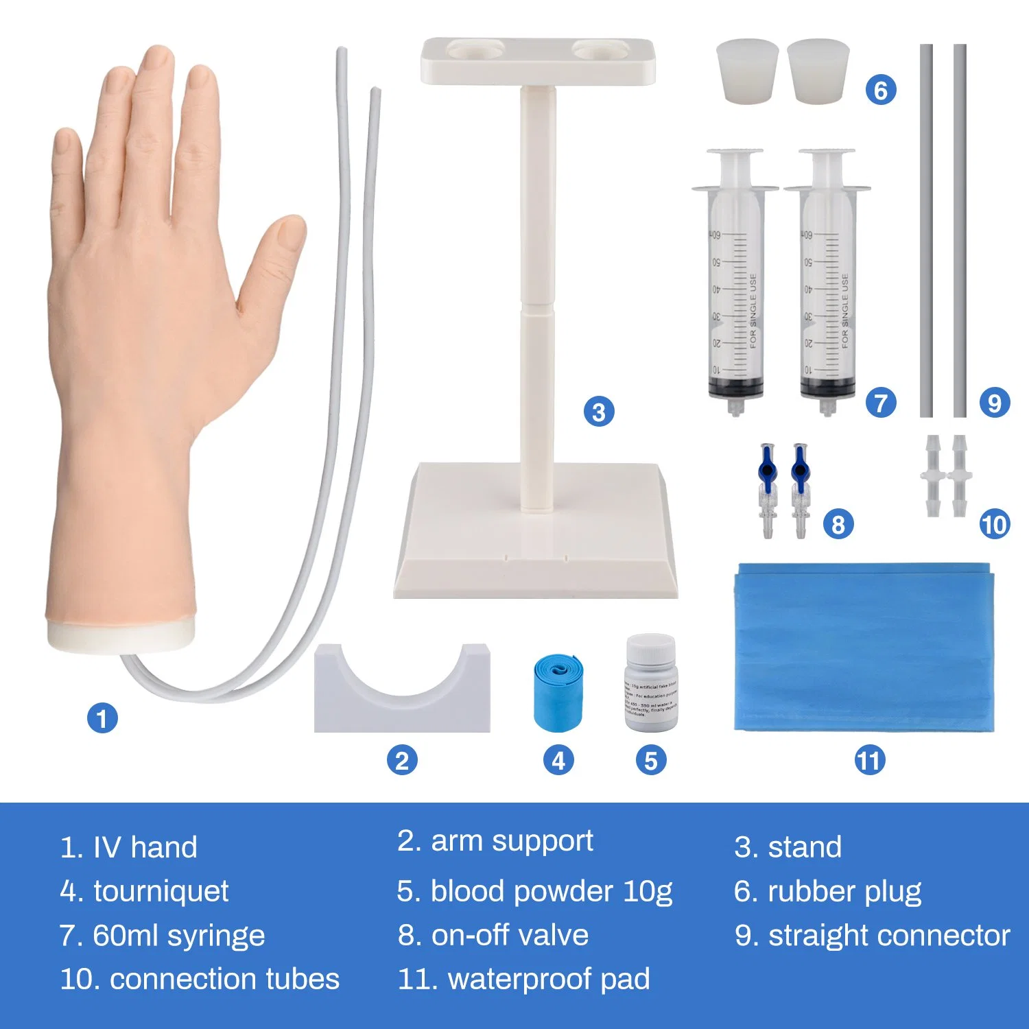 Kit de treino IV portátil modelo com braço IV formação em injeção de silicone Mão