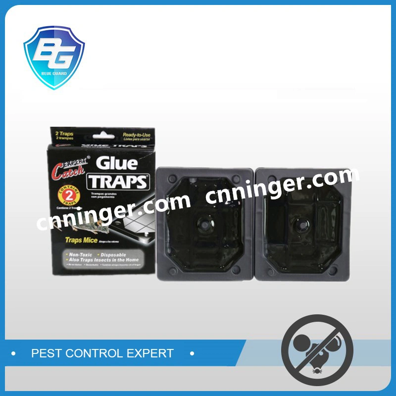 High quality/High cost performance Plastic Mouse Glue Traps