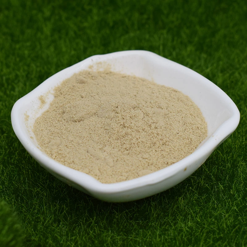 Silk Amino Acid Powder, Amino Acid Fertil Powder, Amino Acid Powder Agriculture