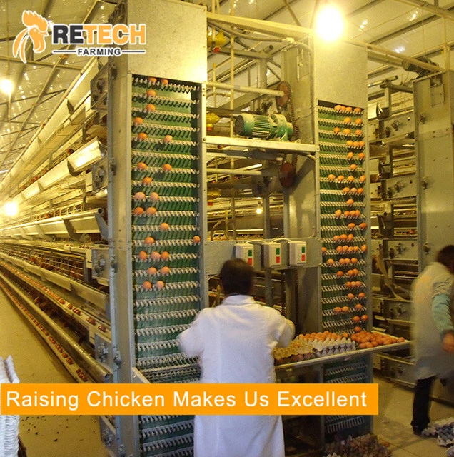 Automatic H type 4 tiers 240 birds layer chicken Battery cage