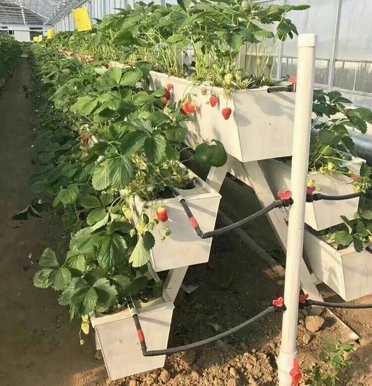 Strawberry Gutter with Drain Board for Hydroponic Greenhouse System