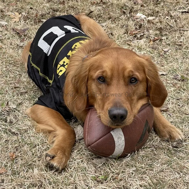 2023 artículos para mascotas la primavera y verano nuevo perro mascota ropa ropa de diseño de prendas de vestir la camiseta perro lindo perro vestido sencillo