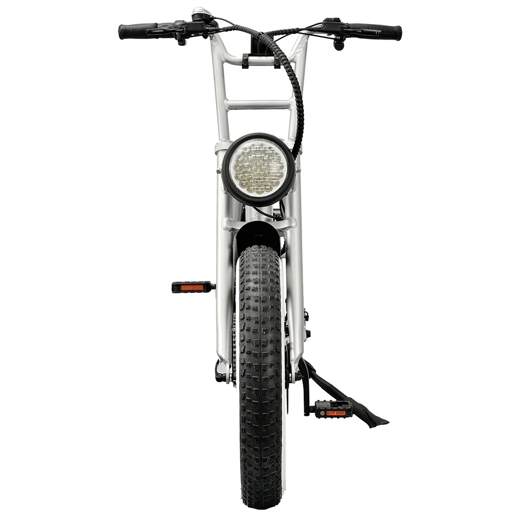 2022 New Design 20 Inch Cheap Ebike 500W Fat Tire Electric Mountain Bicycle with CE