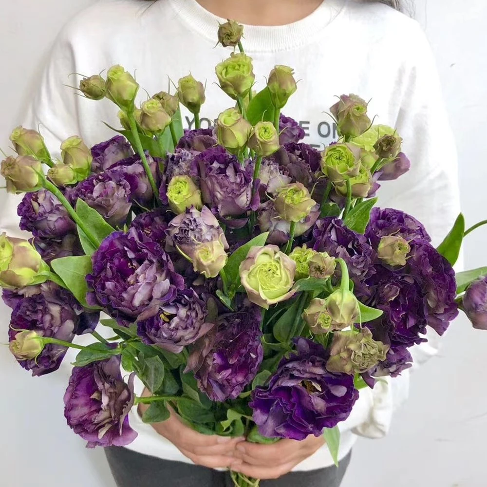 High quality/High cost performance  Fresh Flower Hot Wholesale/Suppliers Fresh Cut Eustoma Flowers for Wedding Decoration