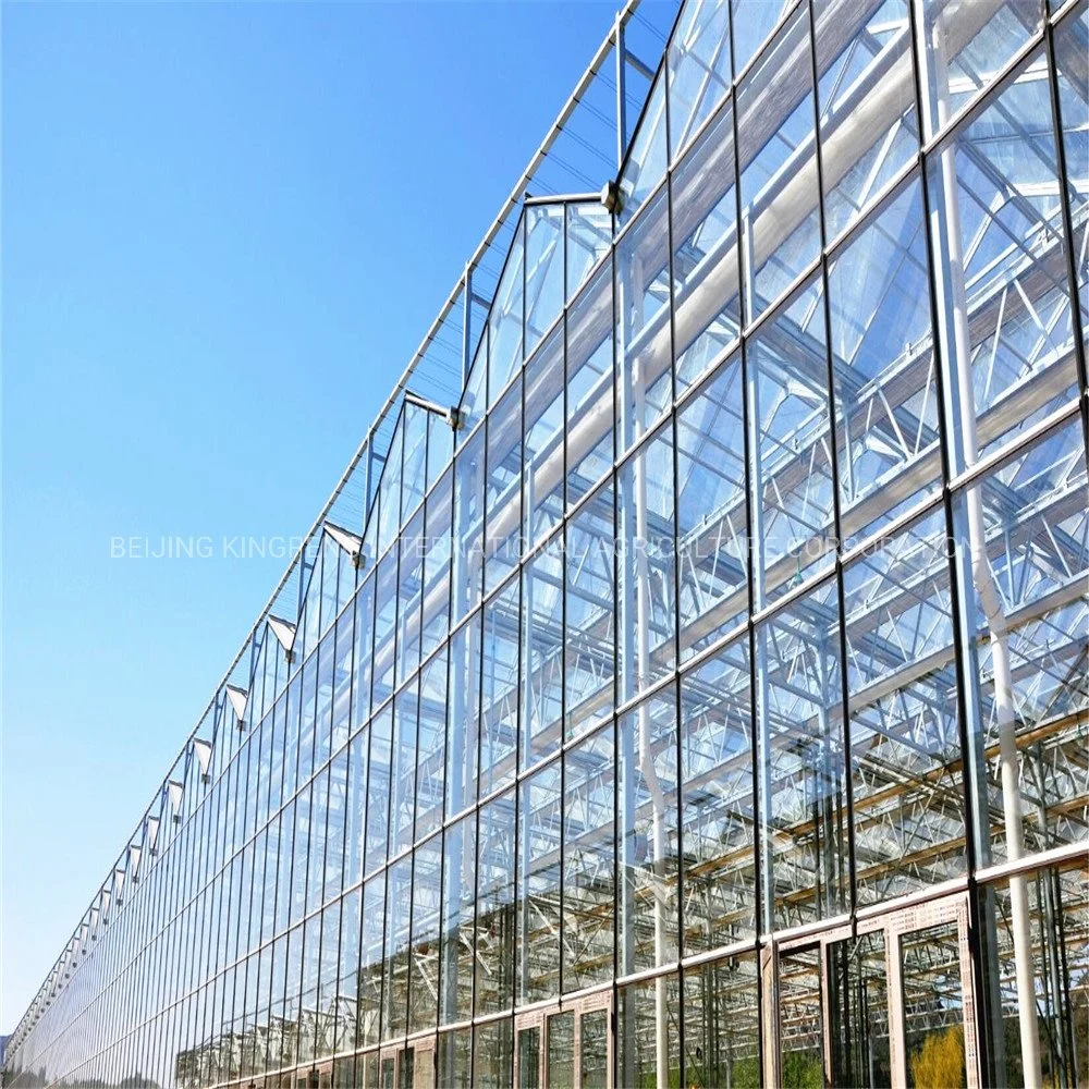 Multi-Span Covering Materils/Building Materials Glass Greenhouse in Winter for Four Seasons