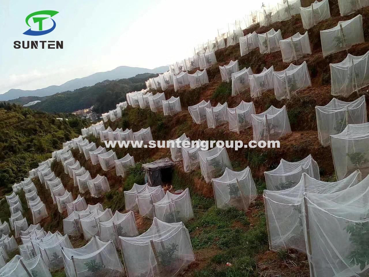 الأسهم HDPE/PE/النايلون/البلاستيك حماية نباتية/مكافحة البعوض/الملاريا/الطيران/حشرات/الحشرات/حشرات/شبكة مقاومة للزراعة/الدفيئة/المزرعة