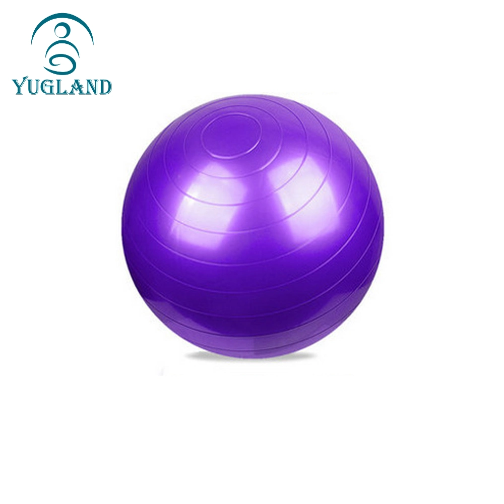 Yugland entrenamiento gimnasia ecológica 65cm Gimnasio Ejercicio yoga Ball