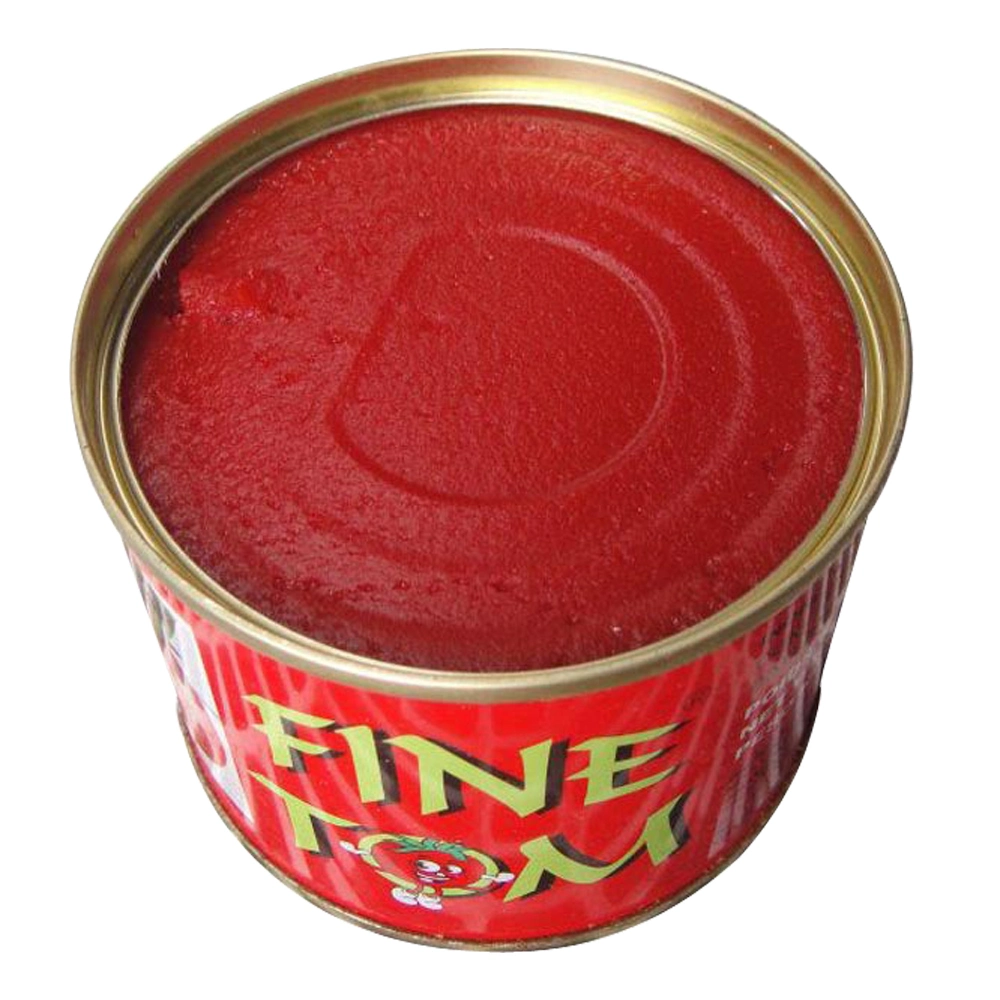 OEM Tomato Paste Buyers Double Concentrated Tomato Paste Ginny Brand for Africa Market