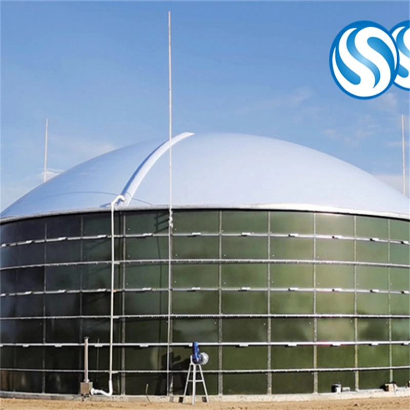 Size Customized Gfs/GLS Tank Wjth Gas Holder Used in Water Treatment Projects