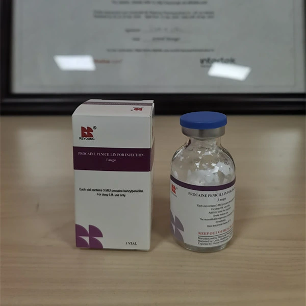 Fortified Procaine Penicillin for Injection