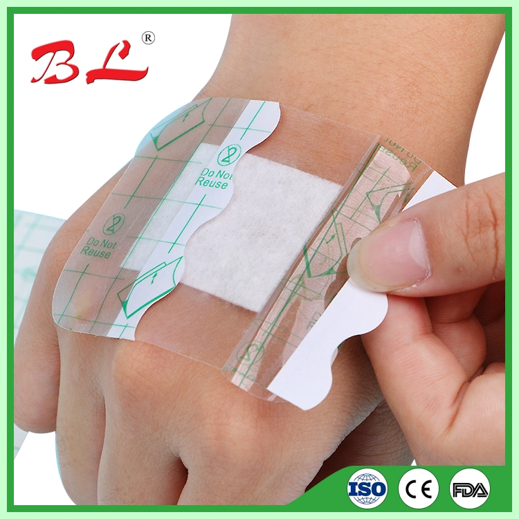 Sterile Medical PU Transparent Adhesive Wound Care Dressing Packs with/Without Pad -F