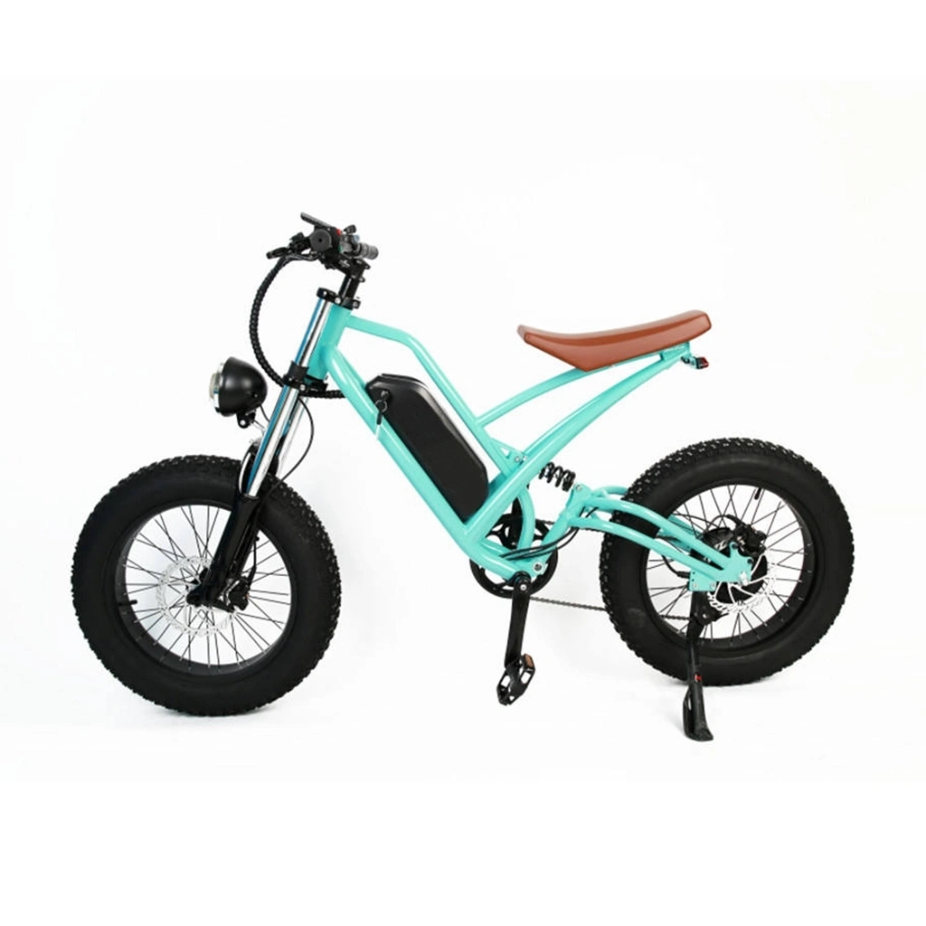 Free Shipping From EU Stock High Performance CE 65km 1000W 16ah 23 Ah E Bike 26 Inch Fat Tire Snow Outdoor Electric Bicycle