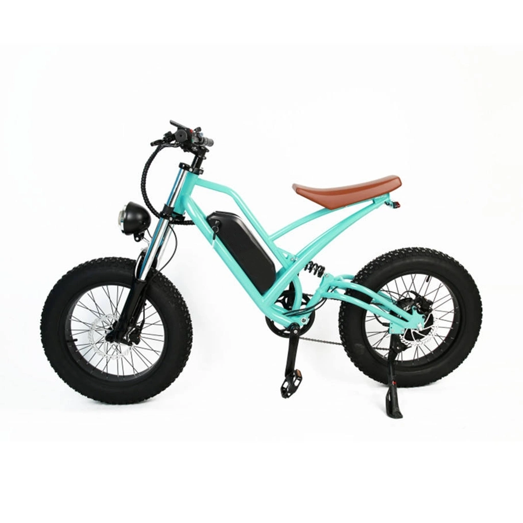 شحن مجاني من أسهم الاتحاد الأوروبي عالية الأداء CE 65 كم 1000 واط 16AH 23 AH E Bike 26 بوصة Fat Tire Snow (ثلوج الإطار السمين) دراجة كهربائية خارجية