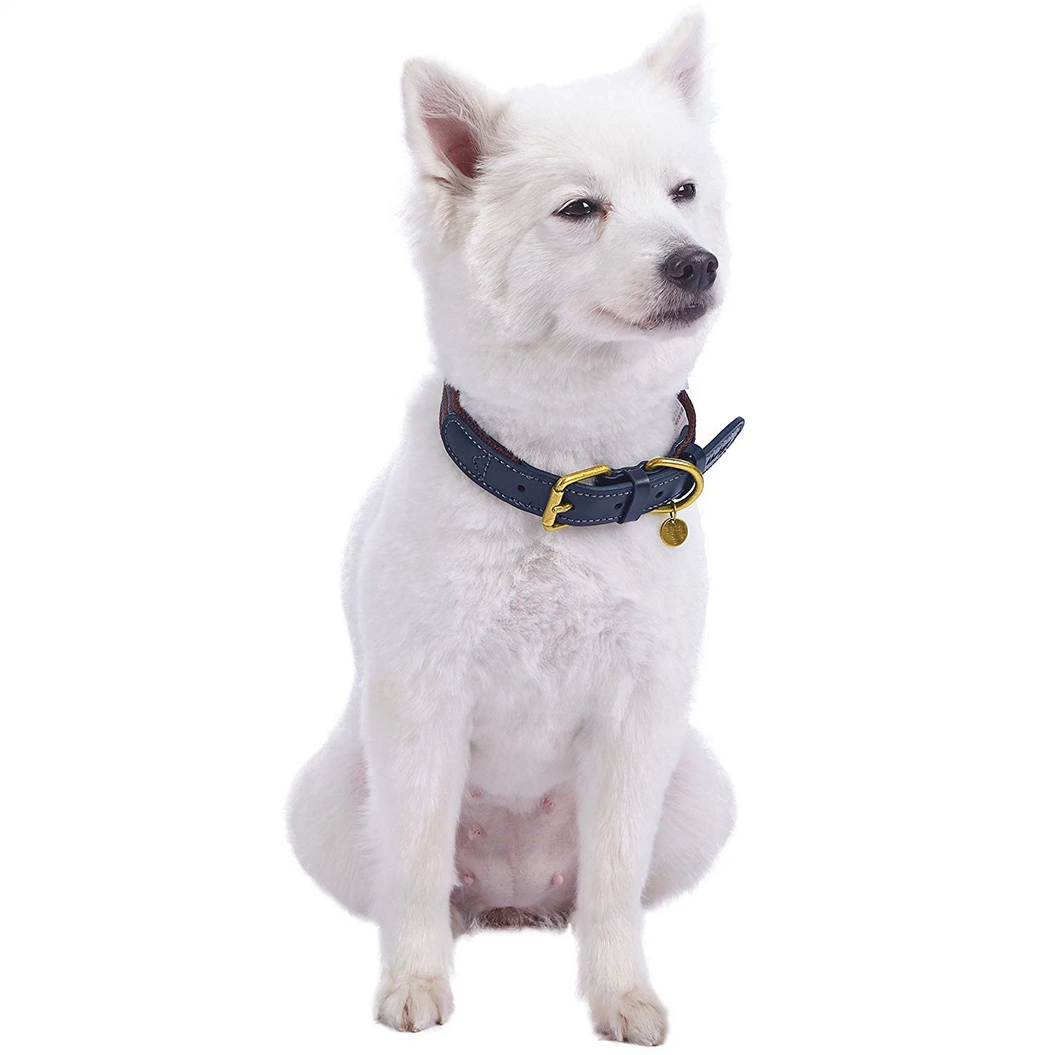 High quality/High cost performance Round Soft Leather Dog Pet Collar with The Latest Design