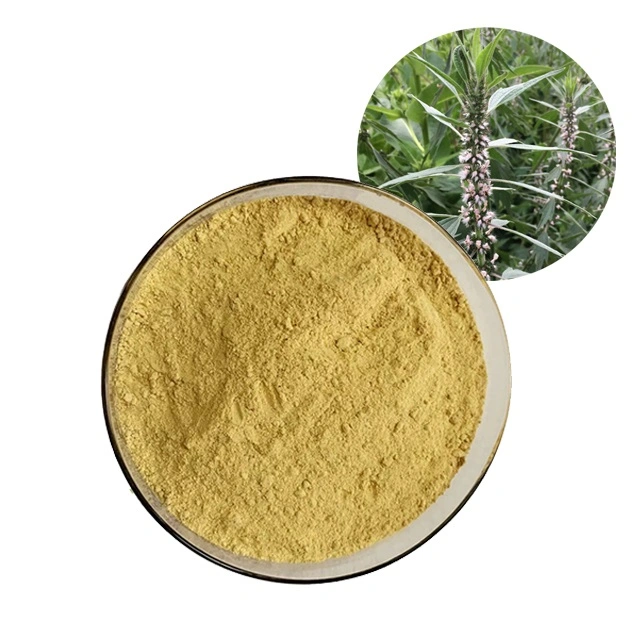 Food Grade Natural Organic Motherwort Herb Extract Powder